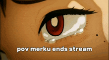 Merku Ends GIF - Merku Ends Stream GIFs