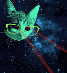 Cat Laser GIF - Cat Laser Meme War GIFs
