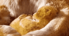 The Lion King Cute GIF - The Lion King Cute GIFs
