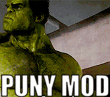Puny Mod Hulk GIF - Puny Mod Hulk Discord Mod GIFs