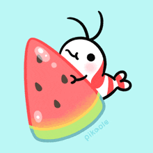 Eating Watermelon Shy Shrimp GIF - Eating Watermelon Shy Shrimp Pikaole GIFs