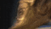 a close up of a person 's face with a gold colored background