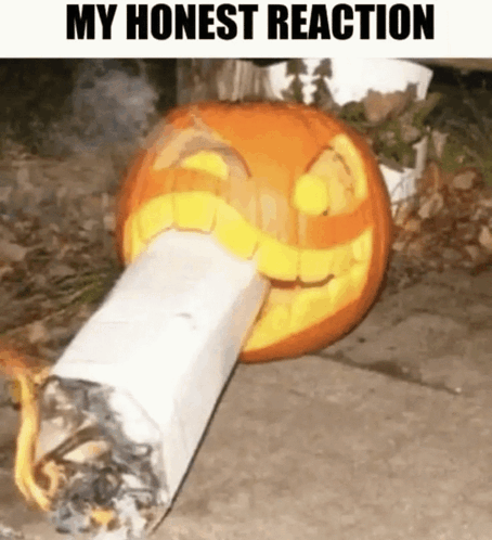 My Honest Reaction GIF - My honest reaction - Discover & Share GIFs