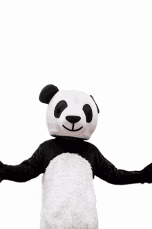 abou tall costume panda bosser mascot