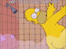 The Simpsons Homer Simpson GIF - The Simpsons Homer Simpson Shower GIFs