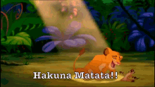 Hakuna Matata GIF - The Lion King Hakuna Matata Timon GIFs