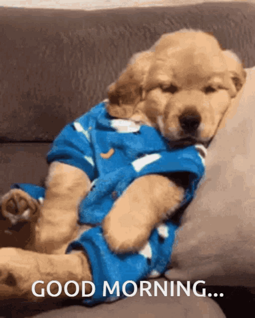 Pijamas Good Morning GIF - Pijamas Good Morning - Discover & Share GIFs