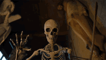 Skeleton Evil GIF - Skeleton Evil Scray GIFs