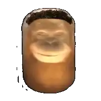 a cartoon monkey with a beard is smiling in a glass jar .