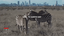 Call To Earth Cnn GIF - Call To Earth Cnn Earth GIFs