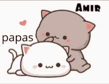 Papas Papas Discord GIF - Papas Papas Discord Amir Discord GIFs
