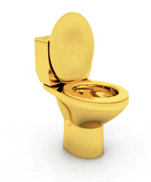 Golden Toilet Layan GIF - Golden Toilet Layan GIFs