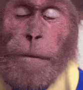 a close up of a monkey 's face with a beard and eyes closed .