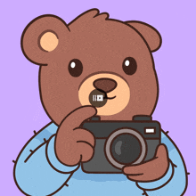 a brown teddy bear is holding a camera with a purple background