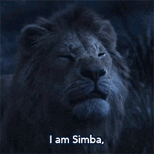 a lion says i am simba in a dark room