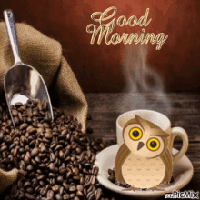 Good Morning Owl GIF - Good Morning Owl Coffee GIFs