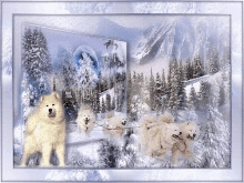 Snow Dogs GIF - Snow Dogs Mountain GIFs