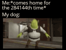 Dog Shrek GIF - Dog Shrek Meme GIFs
