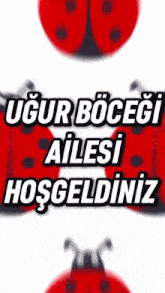 a ladybug with the words ugur bocegi ailesi hosgeldiniz written on it