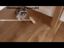 a raccoon is walking on a wooden floor holding a broom .