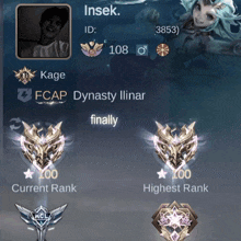a screenshot of a person 's profile that says ' insek ' at the top