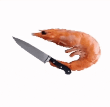 a shrimp holding a knife in its mouth