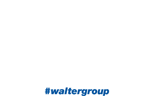 Waltergroup Lkwwalter Sticker - Waltergroup Lkwwalter Containex Stickers
