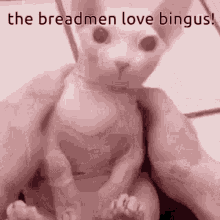 Breadmen Bingus GIF - Breadmen Bingus Breadmen Love Bingus GIFs