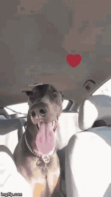 heart dog doberman ride car