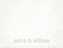 a screenshot of a video game with the words astro & willow on it