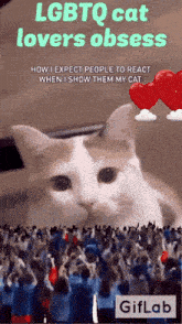 a cat is surrounded by a crowd of people and says " lgbtq cat lovers obsession "