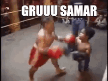 Gru Samar Fight GIF - Gru Samar Fight GIFs