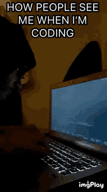 how people see me when i 'm coding with a laptop in the foreground