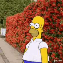 Homer Simpson Hide GIF - Homer Simpson Hide Gardeneria GIFs