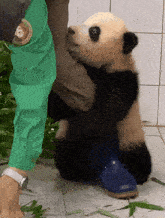 푸바오 Fubao GIF - 푸바오 Fubao Panda GIFs