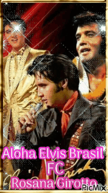 Elvis Brasil Sparkle GIF - Elvis Brasil Sparkle Rock GIFs