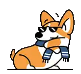 a corgi wearing sunglasses and a scarf is sitting down .