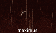 Maximus Gideon Graves GIF - Maximus Max Gideon Graves GIFs
