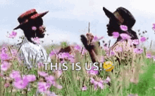 makidada clap color purple flower field this is us