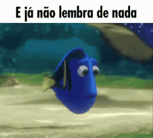 Procurando Nemo Dory GIF - Procurando Nemo Dory Ejánão Lembra De Nada GIFs