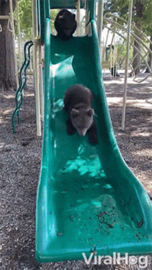 Sliding Down Viralhog GIF - Sliding Down Viralhog Having Fun On The Slide GIFs