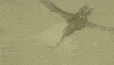 a cartoon of batman flying through the air in front of a full moon in a cloudy sky .
