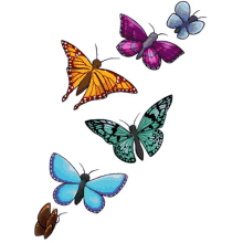 fly butterflies