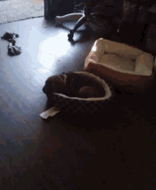 a dog is laying in a dog bed next to a pink dog bed