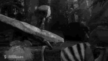Black And White Fly GIF - Black And White Fly Catapult GIFs
