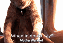 When In Doubt Say GIF - When In Doubt Say Mother Flerken GIFs
