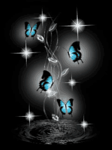 butterflies sparks fly blue butterfly