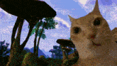a cat is looking at the camera with trees in the background and a watermark that says ' dooze ' on it