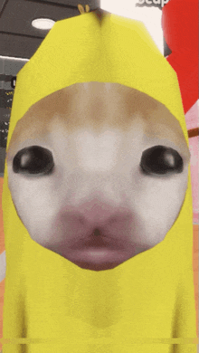 a close up of a cat 's face wearing a yellow hat