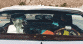 a man is driving a car with a dog sitting in the back seat
